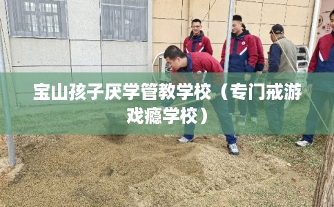 宝山孩子厌学管教学校（专门戒游戏瘾学校）
