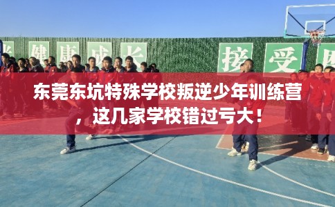 东莞东坑特殊学校叛逆少年训练营，这几家学校错过亏大！