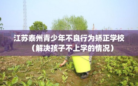 江苏泰州青少年不良行为矫正学校（解决孩子不上学的情况）