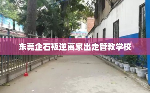 东莞企石叛逆离家出走管教学校
