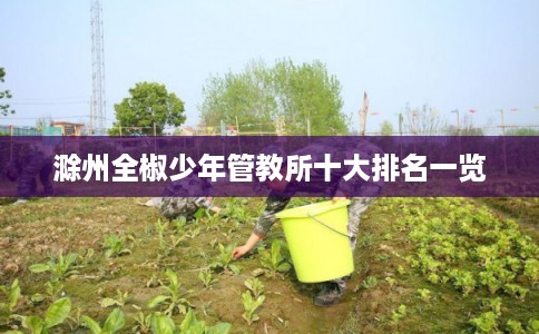 滁州全椒少年管教所十大排名一览