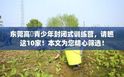 东莞高埗青少年封闭式训练营，请瞧这10家！本文为您精心筛选！