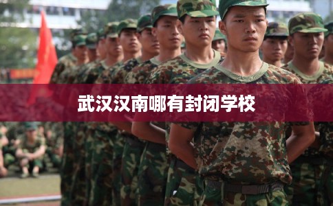 武汉汉南哪有封闭学校