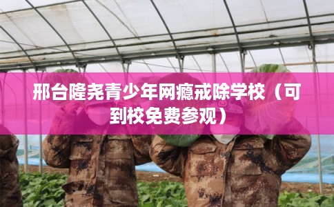 邢台隆尧青少年网瘾戒除学校（可到校免费参观）