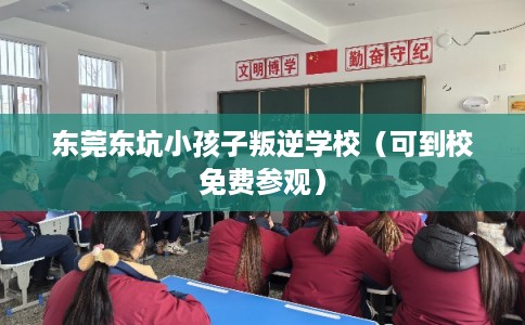东莞东坑小孩子叛逆学校（可到校免费参观）