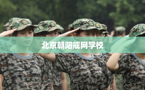 北京朝阳戒网学校
