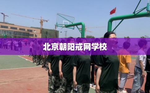 北京朝阳戒网学校