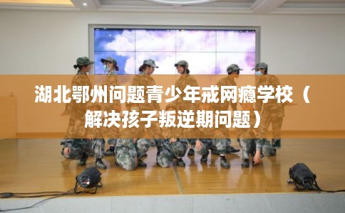 湖北鄂州问题青少年戒网瘾学校（解决孩子叛逆期问题）