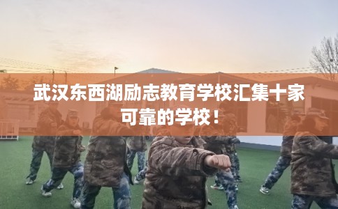 武汉东西湖励志教育学校汇集十家可靠的学校！