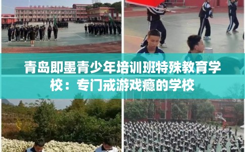 青岛即墨青少年培训班特殊教育学校：专门戒游戏瘾的学校