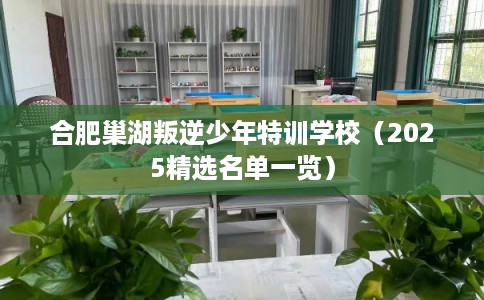 合肥巢湖叛逆少年特训学校（2025精选名单一览）