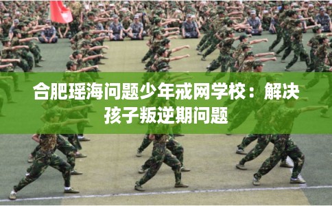 合肥瑶海问题少年戒网学校：解决孩子叛逆期问题