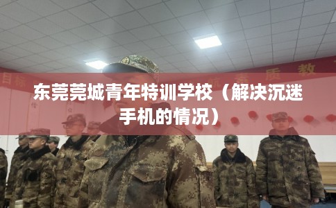 东莞莞城青年特训学校（解决沉迷手机的情况）