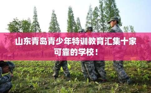 山东青岛青少年特训教育汇集十家可靠的学校！