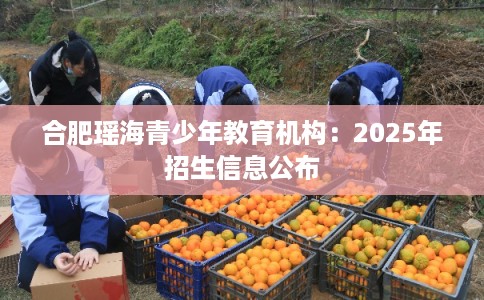 合肥瑶海青少年教育机构:2025年招生信息公布 合肥瑶海青少年教育机构:2025年招生信息公布