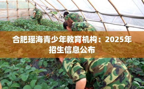合肥瑶海青少年教育机构：2025年招生信息公布