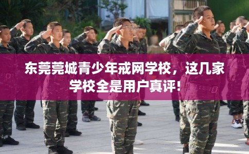东莞莞城青少年戒网学校，这几家学校全是用户真评!