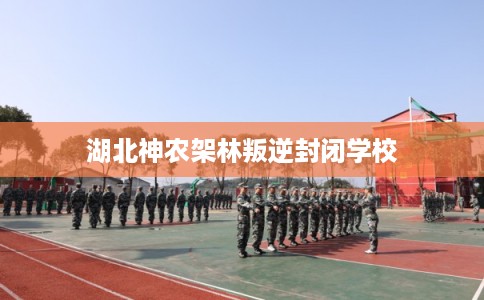 湖北神农架林叛逆封闭学校