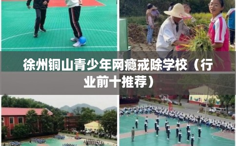 徐州铜山青少年网瘾戒除学校（行业前十推荐）