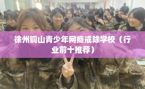 徐州铜山青少年网瘾戒除学校（行业前十推荐）