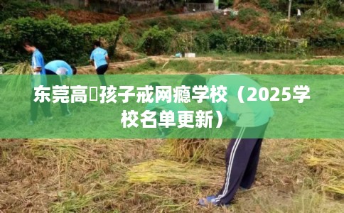 东莞高埗孩子戒网瘾学校（2025学校名单更新）