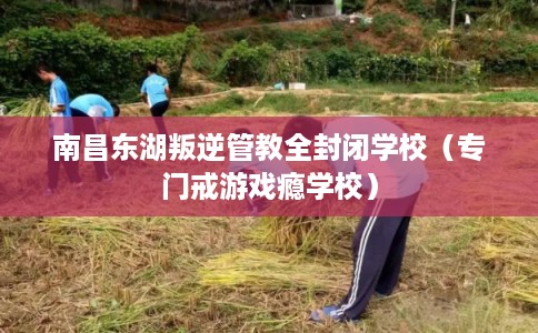 南昌东湖叛逆管教全封闭学校（专门戒游戏瘾学校）