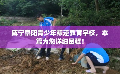 咸宁崇阳青少年叛逆教育学校，本篇为您详细阐释！