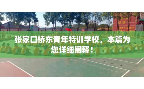 张家口桥东青年特训学校，本篇为您详细阐释！