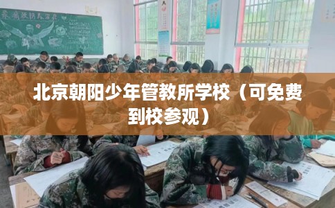 北京朝阳少年管教所学校（可免费到校参观）