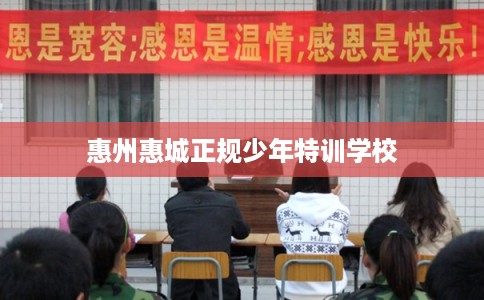 惠州惠城正规少年特训学校