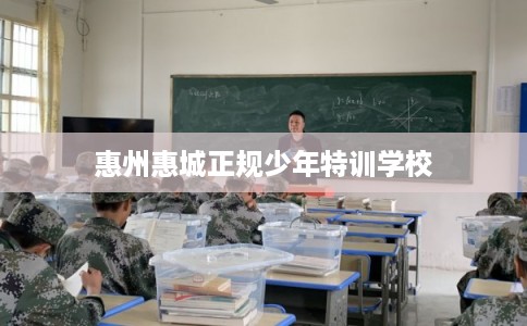 惠州惠城正规少年特训学校