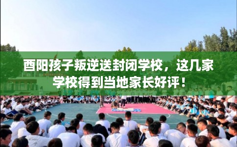 酉阳孩子叛逆送封闭学校，这几家学校得到当地家长好评！