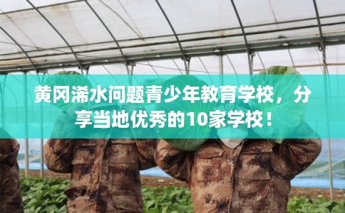 黄冈浠水问题青少年教育学校，分享当地优秀的10家学校！