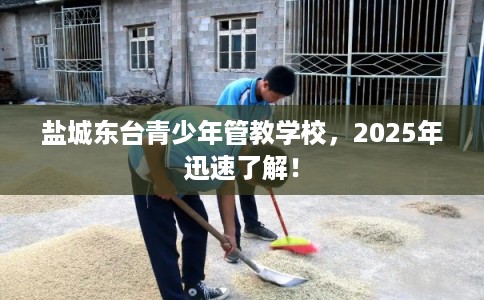 盐城东台青少年管教学校，2025年迅速了解！