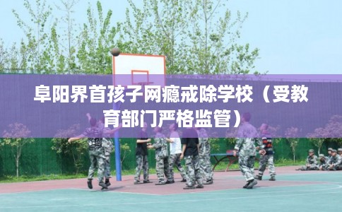 阜阳界首孩子网瘾戒除学校（受教育部门严格监管）