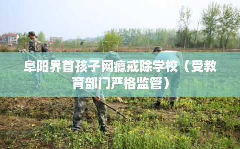 阜阳界首孩子网瘾戒除学校（受教育部门严格监管）