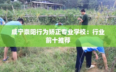 咸宁崇阳行为矫正专业学校：行业前十推荐