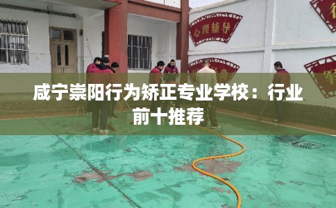咸宁崇阳行为矫正专业学校：行业前十推荐
