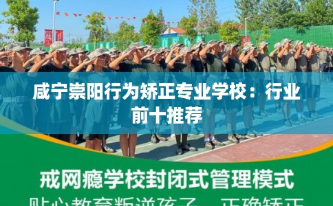 咸宁崇阳行为矫正专业学校：行业前十推荐