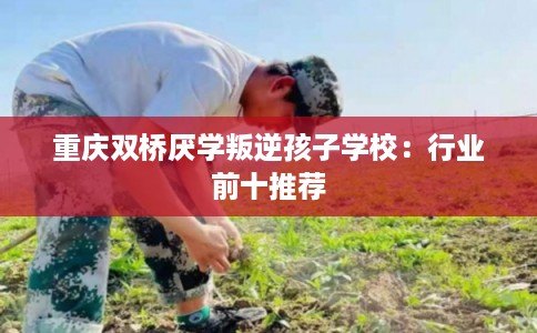 重庆双桥厌学叛逆孩子学校：行业前十推荐