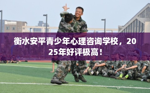衡水安平青少年心理咨询学校，2025年好评极高！