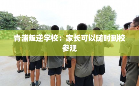 青浦叛逆学校：家长可以随时到校参观