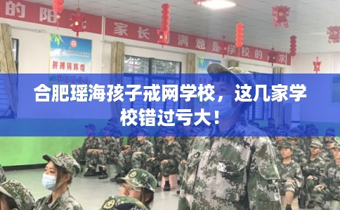 合肥瑶海孩子戒网学校，这几家学校错过亏大！