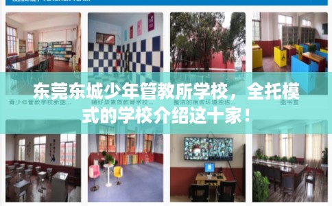 东莞东城少年管教所学校，全托模式的学校介绍这十家！