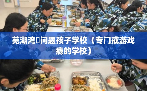芜湖湾沚问题孩子学校（专门戒游戏瘾的学校）