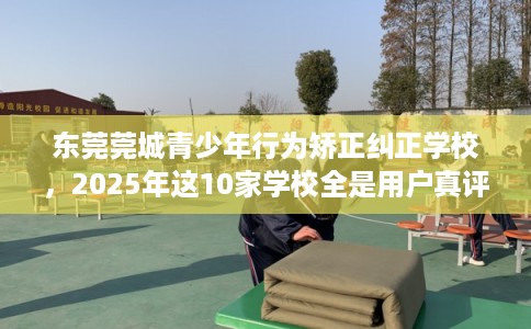 东莞莞城青少年行为矫正纠正学校，2025年这10家学校全是用户真评!