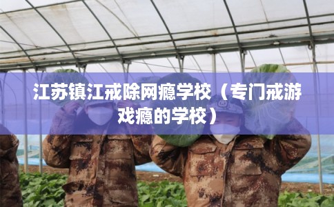 江苏镇江戒除网瘾学校（专门戒游戏瘾的学校）