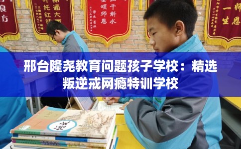 邢台隆尧教育问题孩子学校:精选叛逆戒网瘾特训学校 邢台隆尧教育问题孩子学校:精选叛逆戒网瘾特训学校