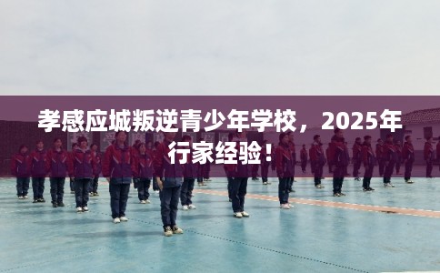 孝感应城叛逆青少年学校，2025年行家经验！