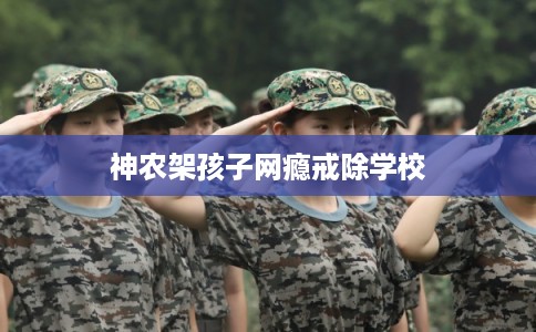 神农架孩子网瘾戒除学校